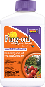 Bonide Fung-onil® Conc