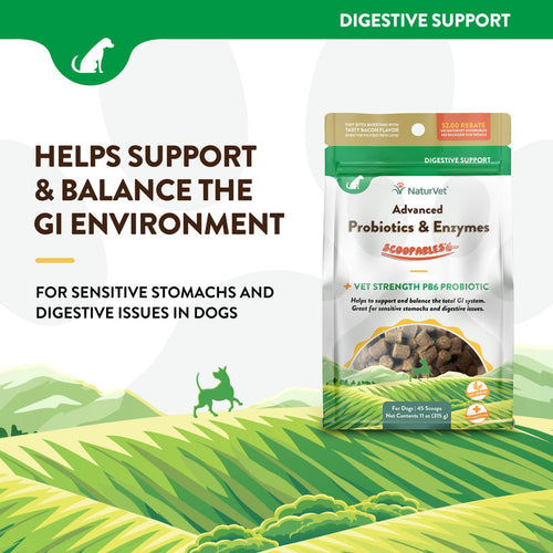 NaturVet Scoopables Advanced Probiotics & Enzymes