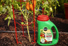 Miracle-Gro® Shake 'n Feed® Tomato, Fruit & Vegetable Plant Food
