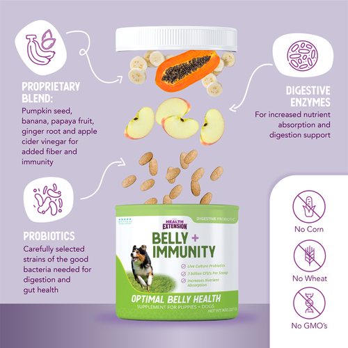 Health Extension Holistic Belly + Immunity Digestive Probiotic Supplement for Dogs (8 oz)