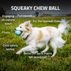 Playology Squeaky Chew Ball Chicken Scent