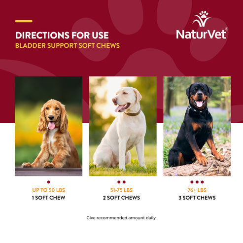 NaturVet Bladder Support Soft Chews (60 Soft Chews)