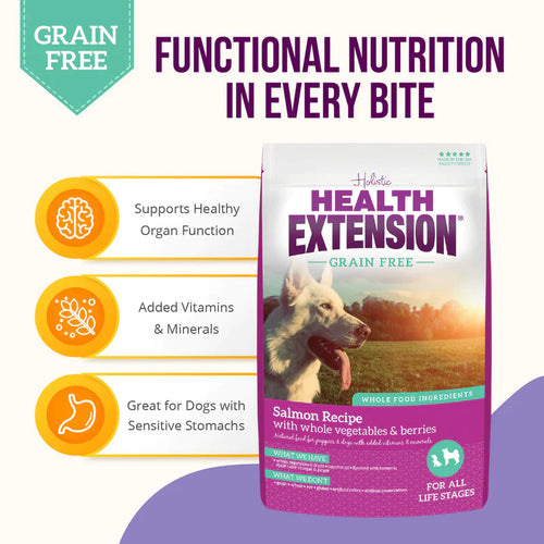 Health Extension Grain Free Salmon & Sweet Potato Recipe Dry Dog Food (4 lbs)