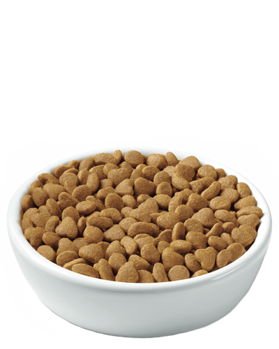 Purina Pro Plan Adult Indoor Turkey & Rice Formula Dry Cat Food (7-lb)