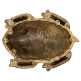 Redbarn Chew-A-Bulls® Horned Toad