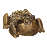 Redbarn Chew-A-Bulls® Horned Toad