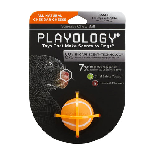 Playology Squeaky Chew Ball Chicken Scent