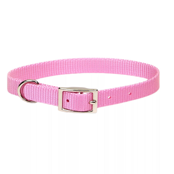 Coastal Pet Products Coastal Single-Ply Dog Collar Bright Pink 3/4