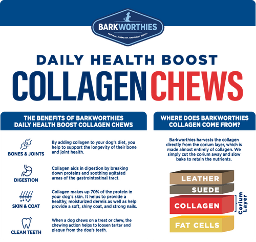 Barkworthies Collagen Beef Sticks for Dog (12)