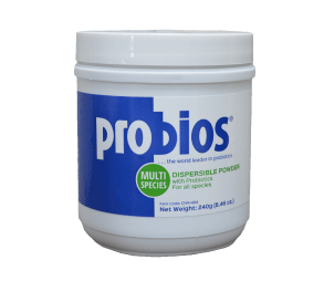 Probios Probiotic Supplement