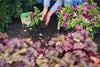 Miracle-Gro® Quick Start® Planting Tablets