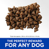 Hill's Natural Training Treats Soft and Chewy with Real Chicken Dog Treats