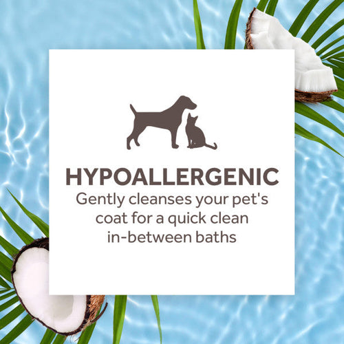 TropiClean Gentle Coconut Hypoallergenic Waterless Shampoo for Pets